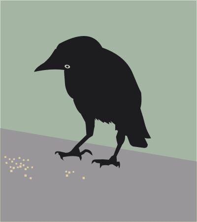 kawka css kadrowanie